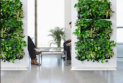 ¿Qué valor tiene la pared vegetal verde en la aplicación de interior?