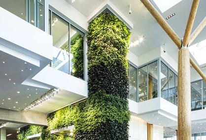 Construcción tridimensional de muros de plantas ecológicas: pasos de construcción y conceptos de diseño
